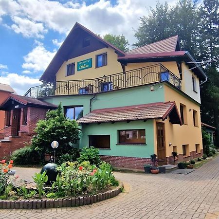 Pensjonat Bliss Bad Altheide Exterior foto